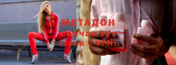 прущие грибы Михайлов
